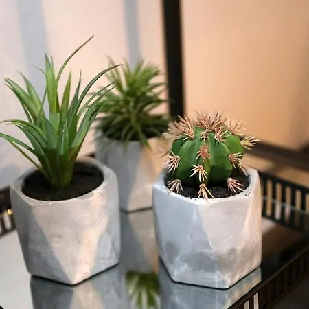 Oda ve Kahvaltı Prestige Design 3*