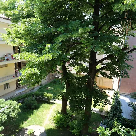 Prestige Design 扎达尔