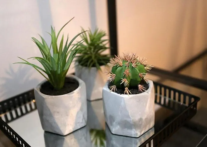 Bed and breakfast Prestige Design 3*