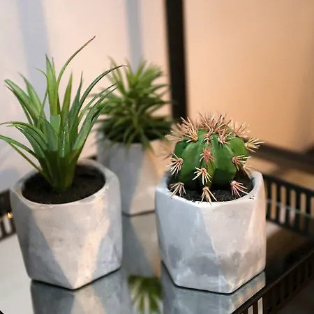 Bed and Breakfast Prestige Design 3*